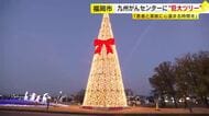 心いやす“福岡最大級”クリスマスツリー　九州がんセンターにお目見え　高さ約18メートル「患者と家族に心温まる時間を」1月31日まで点灯　福岡