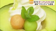 西条の直売所に長蛇の列　夏の味覚「アムスメロン」出荷ピーク　豪快“メロンマウンテン”発売へ【愛媛】