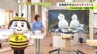 北海道【菅井さんの天気予報 15日(木)】“雪だるま”ができた…けさは石北峠や三国峠で積雪状態！朝晩の峠越えは冬タイヤ必須 でこのまま冬？最新の10日間予報