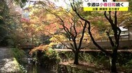 きれい…思わずパチリ!古刹・鰐淵寺で紅葉が見ごろ(島根・出雲市)