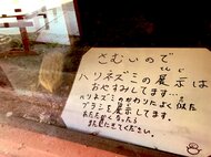 ハリネズミを見に来たはずがそこには“ブラシ”!?ピッタリな代役を立てた動物園のセンスに爆笑