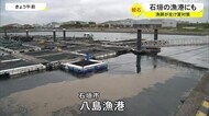 軽石 「エサと似ているから」石垣市の漁師が生簀への流入対策
