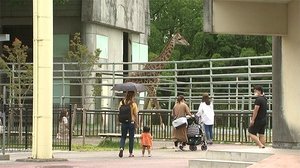 動物園エリアの観覧自由に 熊本市動植物園 【熊本】