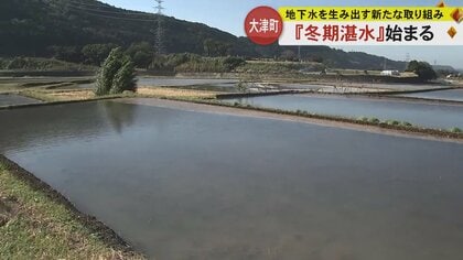冬の田んぼに水を張り年間100万トンの地下水へ　一級河川・白川流域で冬季湛水事業がスタート