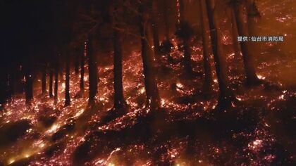 「20ｍのスギが一気に炎に包まれる」消防隊員が語る過酷な消火活動「消防人生で最も焦った」瞬間…大船渡山林火災で全国から3万人以上の消防隊員が動員【岩手発】