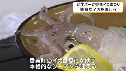 「スーパーのイカとは違う！」恒例・イカまつり開催　生きたイカを自分さばいて実食　参加者も「格別」「甘い」と絶賛　兵庫・香美町