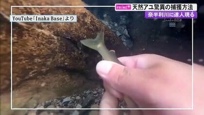 天然アユを手づかみの瞬間　カメラがとらえた驚異の技…YouTube公開で話題に【高知発】