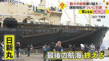 「本当によく頑張ってくれました」世界で唯一の捕鯨母船・日新丸が引退　反捕鯨団体からの妨害など乗り越え30年以上活躍　