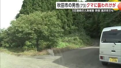 栗の木の脇から突然クマ　散歩中の73歳男性襲われけが　5日連続でクマによる人身被害　秋田
