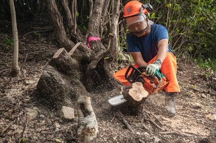 徳島県南部にて、里山林の生物多様性評価等の研究に着手