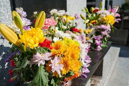 合祀を選んだ理由1位は「お墓の継承者がいない」54.00％｜82.00％が「合祀してよかった」と回答、一方で「親族トラブル」への不安も39.00％【わたしたちの墓じまい】