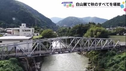 レンタル自転車で行く！石川県の山間部白山麓…芸術・スポーツ・食欲の秋を満喫　