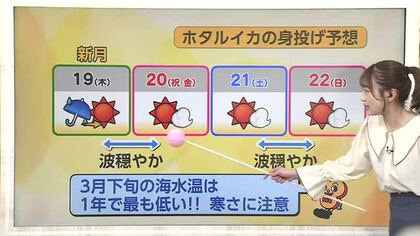 富山の浜辺でホタルイカの「身投げ」　身投げが起きる「3つの条件」とは【ソラをライブ】