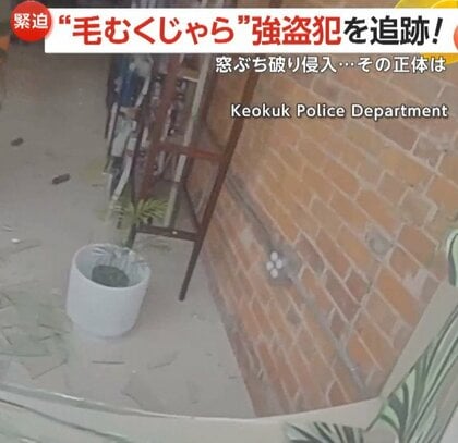 「パニクっているのはわかるけど、一度落ち着くんだ」荒ぶる鹿が窓ぶち破り侵入！興奮状態も警察官が説得し捕獲　アメリカ・アイオワ州