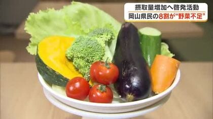 野菜食べてる？県庁で県民の「野菜摂取量」増加を目指すイベント　冷凍野菜も摂取量アップの力に【岡山】