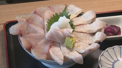 氷見の寒ブリが不漁で高騰、1本11万円に 鮮魚店「お客さんの希望金額に全然合わない」ふるさと納税も停止、ブリ丼も値上げ余儀なく