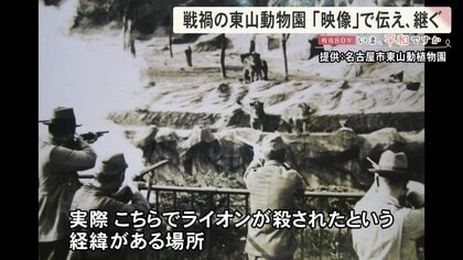 射殺命令出るも園長が必死の訴え…太平洋戦争中に命を守られた2頭のゾウ