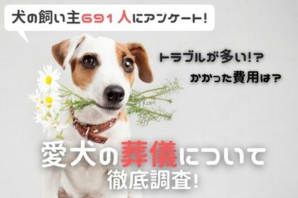 愛犬が亡くなったら葬儀どうする トラブルがあった人も 犬の飼い主691
