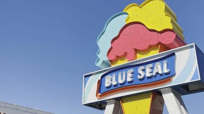 岡崎市】沖縄の味、ブルーシールの一番人気を頂きました