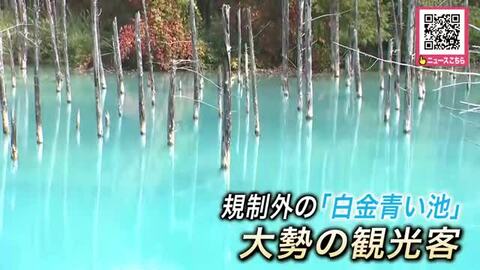 【シルバーウィーク】十勝岳の噴火警戒レベル3も周辺観光地はにぎわい_美瑛町の『青い池』は大混雑_十勝岳温泉にある宿泊施設は一時キャンセル相次ぐも観光客らが訪れる〈北海道〉