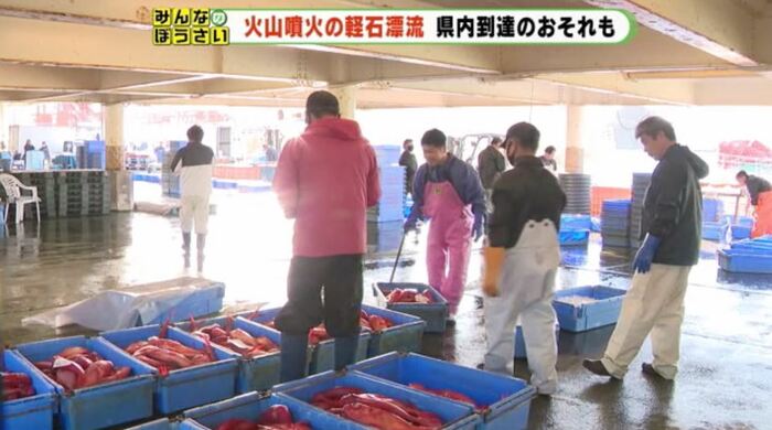 静岡・下田港でキンメダイの水揚げ