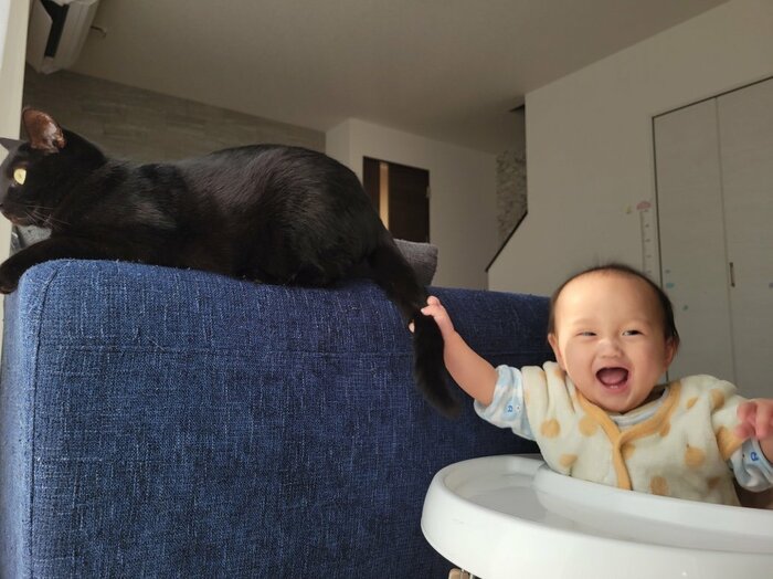 尻尾をつかんでうれしそうな笑顔(提供:仔猫を拾ったので)