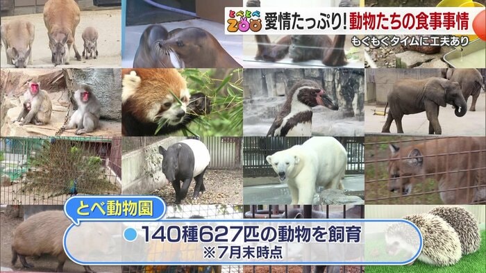 動物たちの健康を支える「もぐもぐタイム」