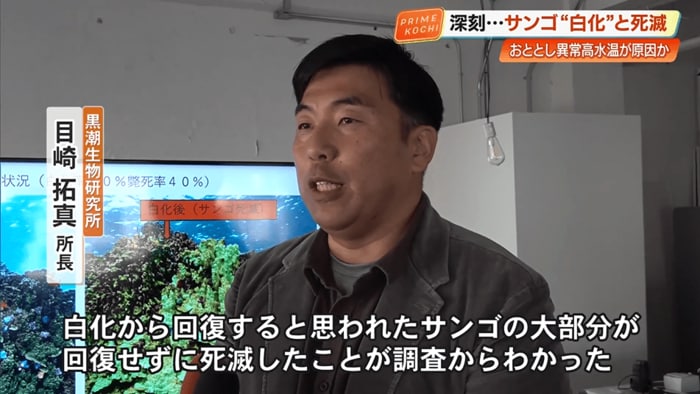 「白化から回復すると思われたサンゴの大部分が死滅した」