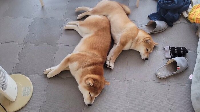 寝るときもぴったり