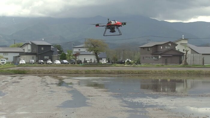 ドローンによる田んぼへの直まきの様子