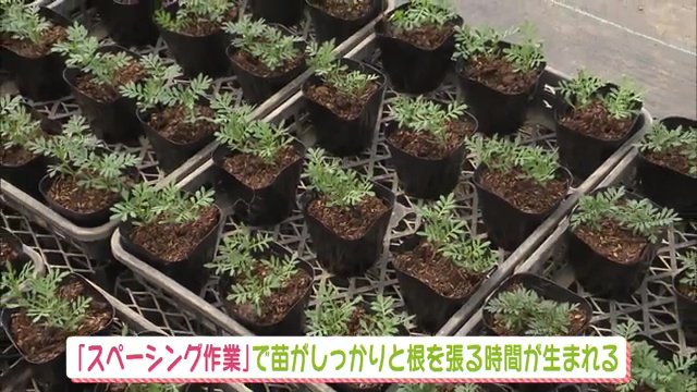 手間もかかり数も生産できないが買ってくれた人の笑顔のために