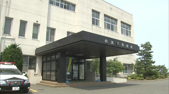 NST新潟総合テレビ