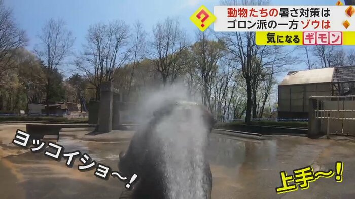 (茶臼山動物園)