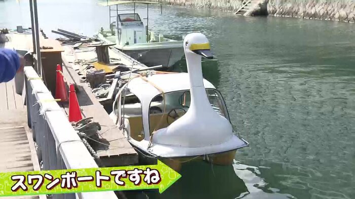 海に浮かぶスワンボート