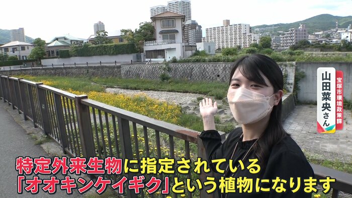 宝塚市環境政策課 山田菜央さん
