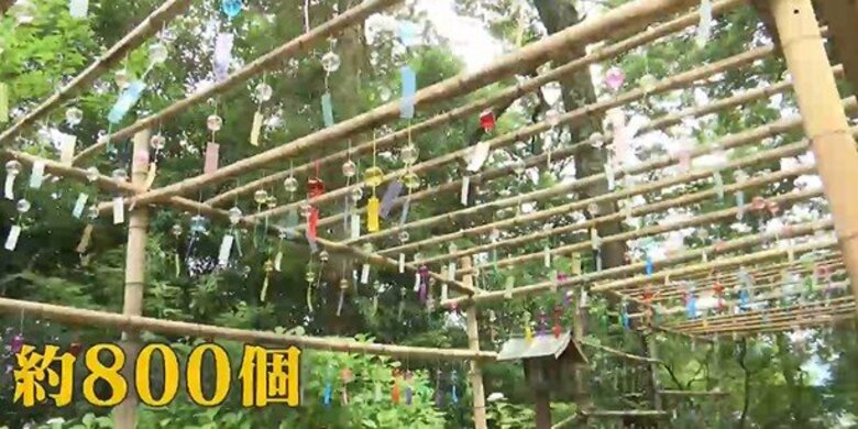 三次市の鷺神社に800個　色とりどりの風鈴が涼しい音色｜FNNプライムオンライン