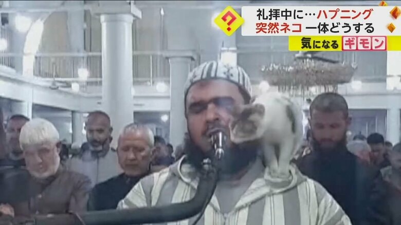 【ニャン入事件】神聖な礼拝中に突然のネコ　祈り捧げる指導者にジャンプ！顔スリスリ…も美声揺るがず、祈りも完遂　アルジェリア｜FNNプライムオンライン