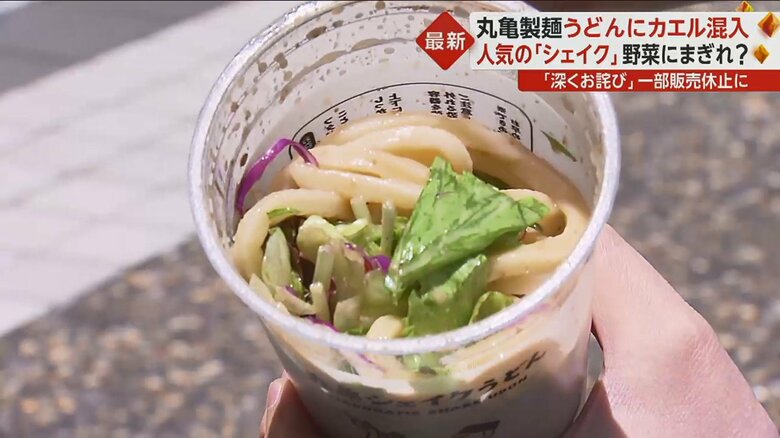 「ピリ辛担々サラダうどん」