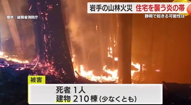 大船渡市の山林火災（提供：総務省消防庁）