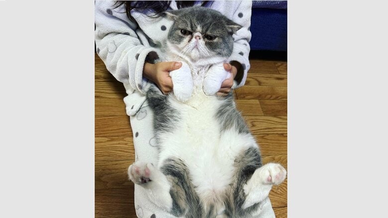 娘さんとぺちゃ丸くん