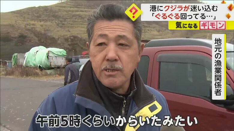 迷い込んだクジラについて話す地元の漁業関係者
