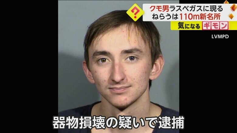 器物破損の疑いで逮捕された、クモ男
