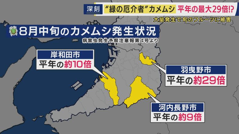 カメムシの発生状況