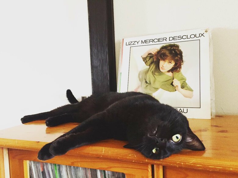 リラックス中の猫別府くん