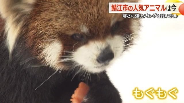 ごちそうを探し当てて満足気