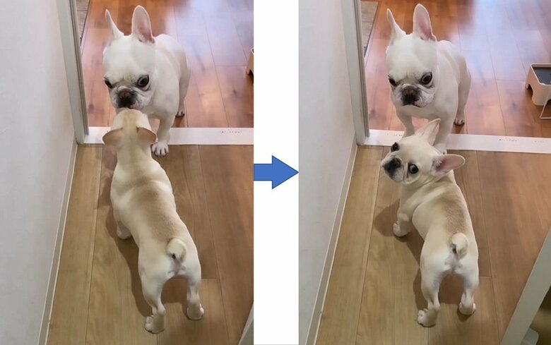 初対面の様子　まるおくんの表情が…