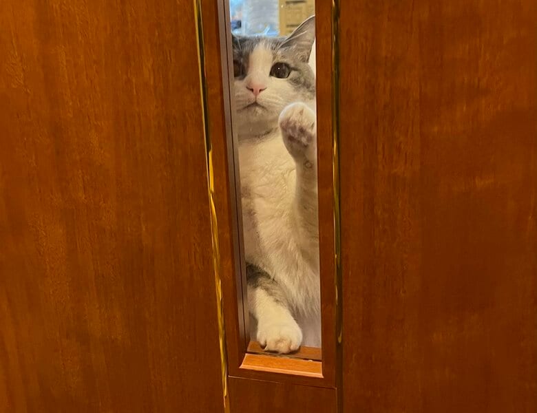 提供：いずもん/まろ様さん