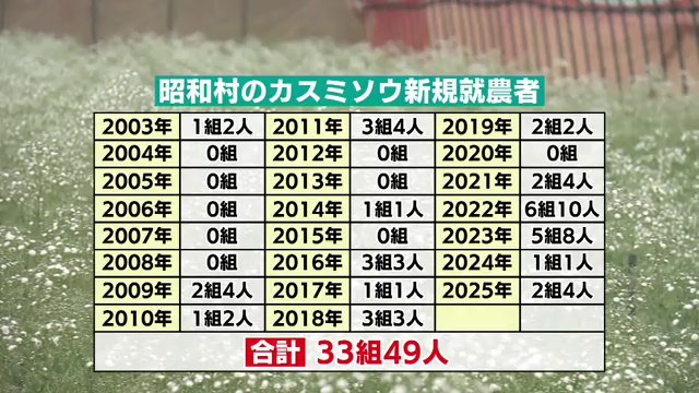昭和村　カスミソウ新規就農者