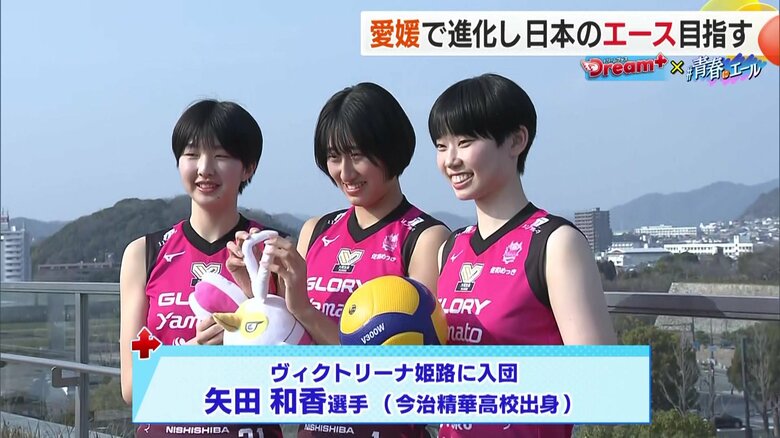 親友であり最高のライバル　矢田和香選手はヴィクトリーな姫路へ入団