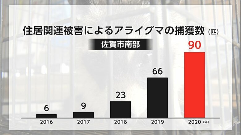 住居関連被害によるアライグマの捕獲数の年間の推移